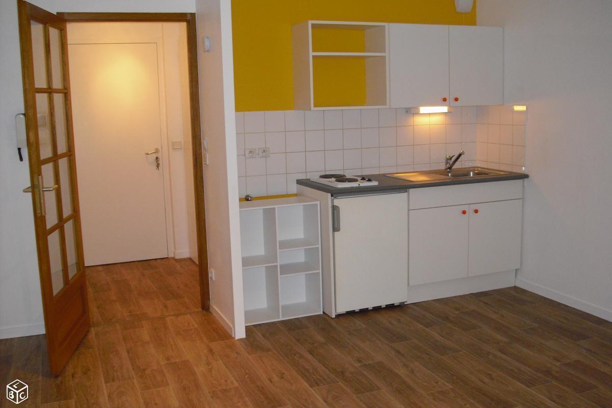 Bel appartement T1 27m2 plein centre ville