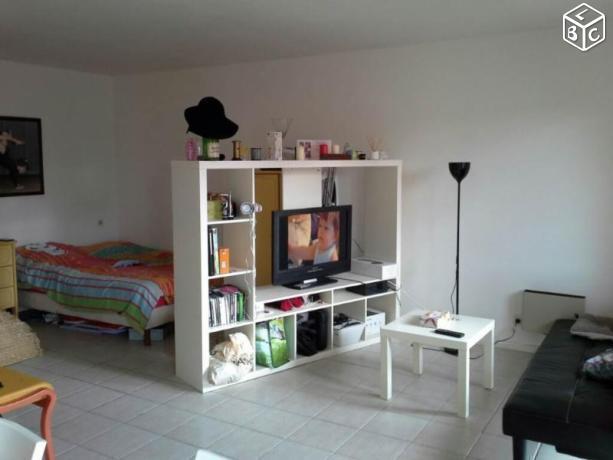 Appartement 1 pièce 30 m²