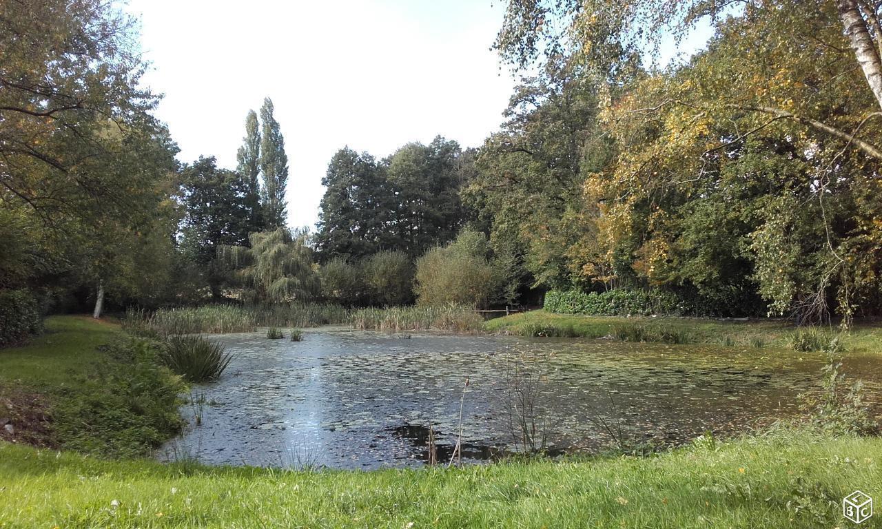 Etang sur terrain clos