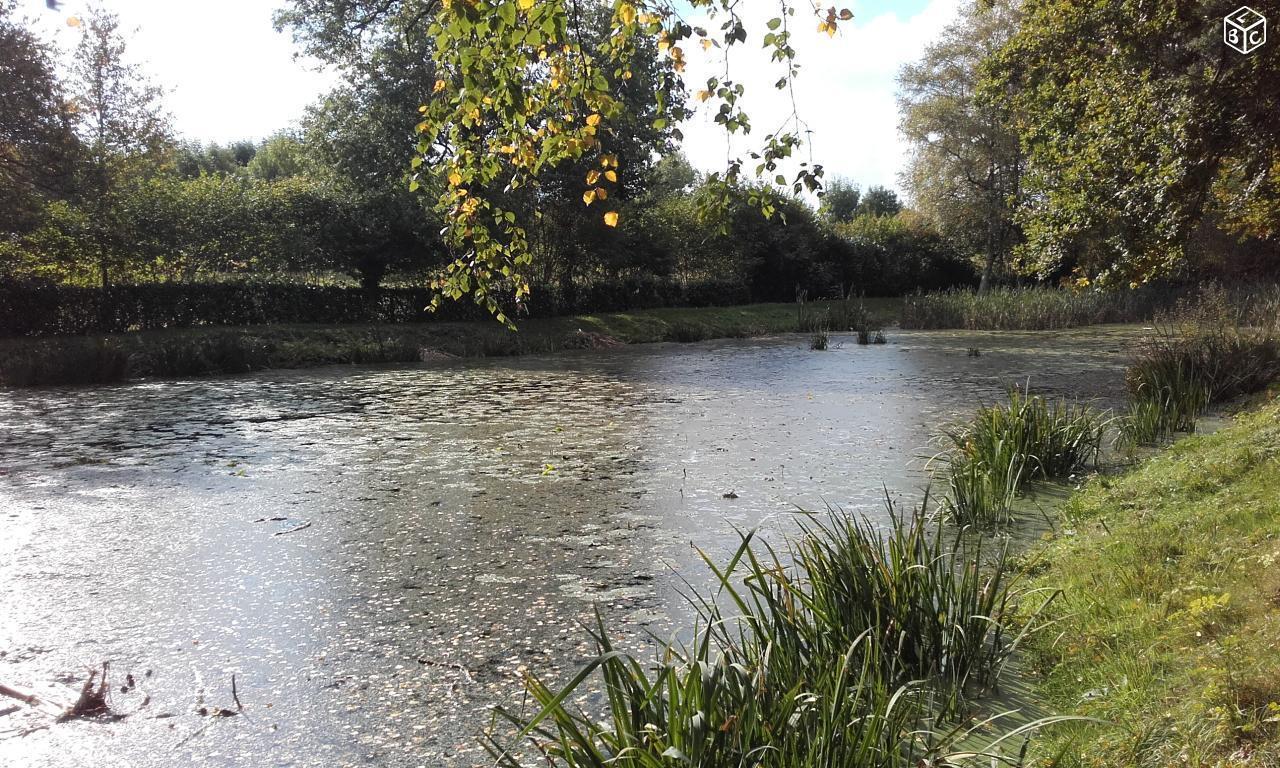 Etang sur terrain clos