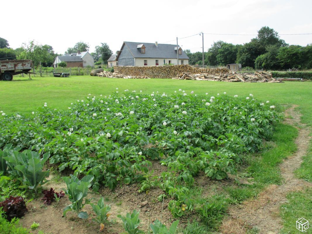 Loue maison plein pied à