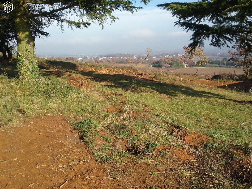 Terrain Saint jean des vignes 743 m2