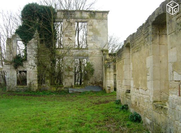 Ruines chateau terrain batiment à restaurer Marais