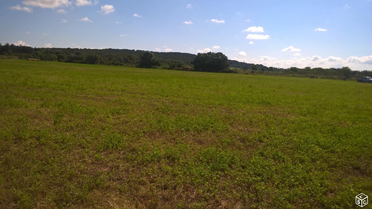 Terrain agricole 15 hectares