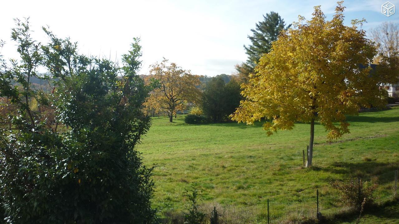 A LOUER : belle maison avec jardin