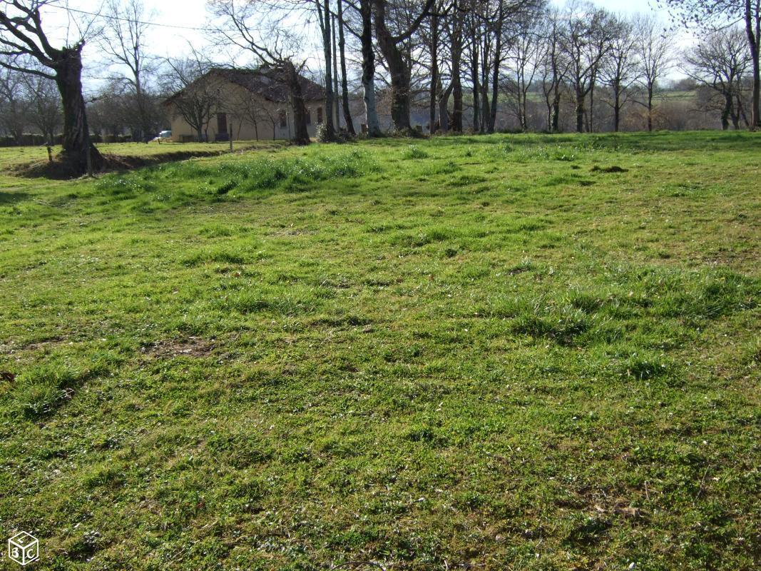 Terrain constructible de 1919 m2