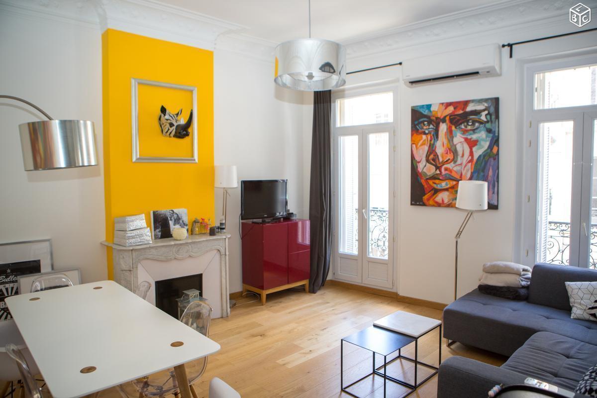 Appartement t3 refait a neuf au calme avec cachet