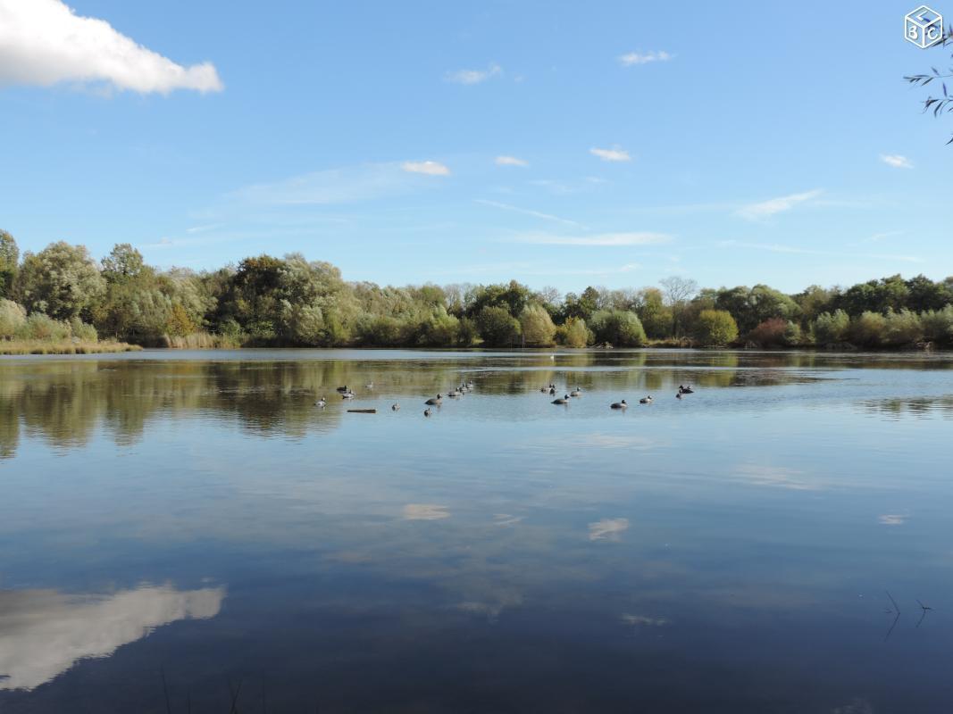 Etang avec hutte de chasse