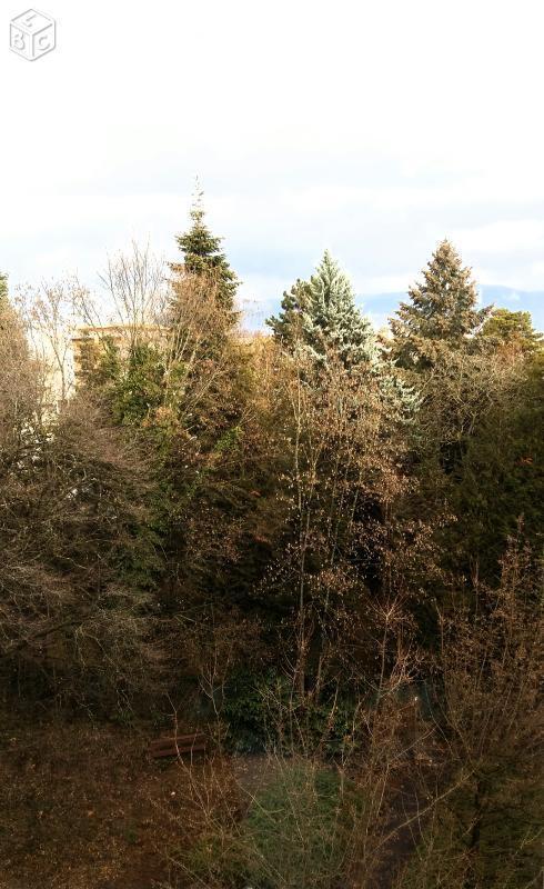 Grand T4 à 1,5 km de la douane de Moillesulaz