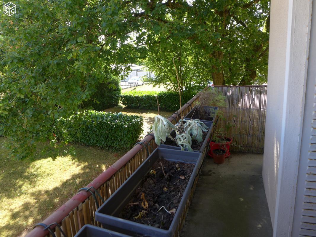 Appartement T3 proche jardin des plantes