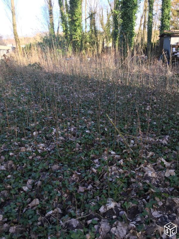 Terrain de loisir bord de loir