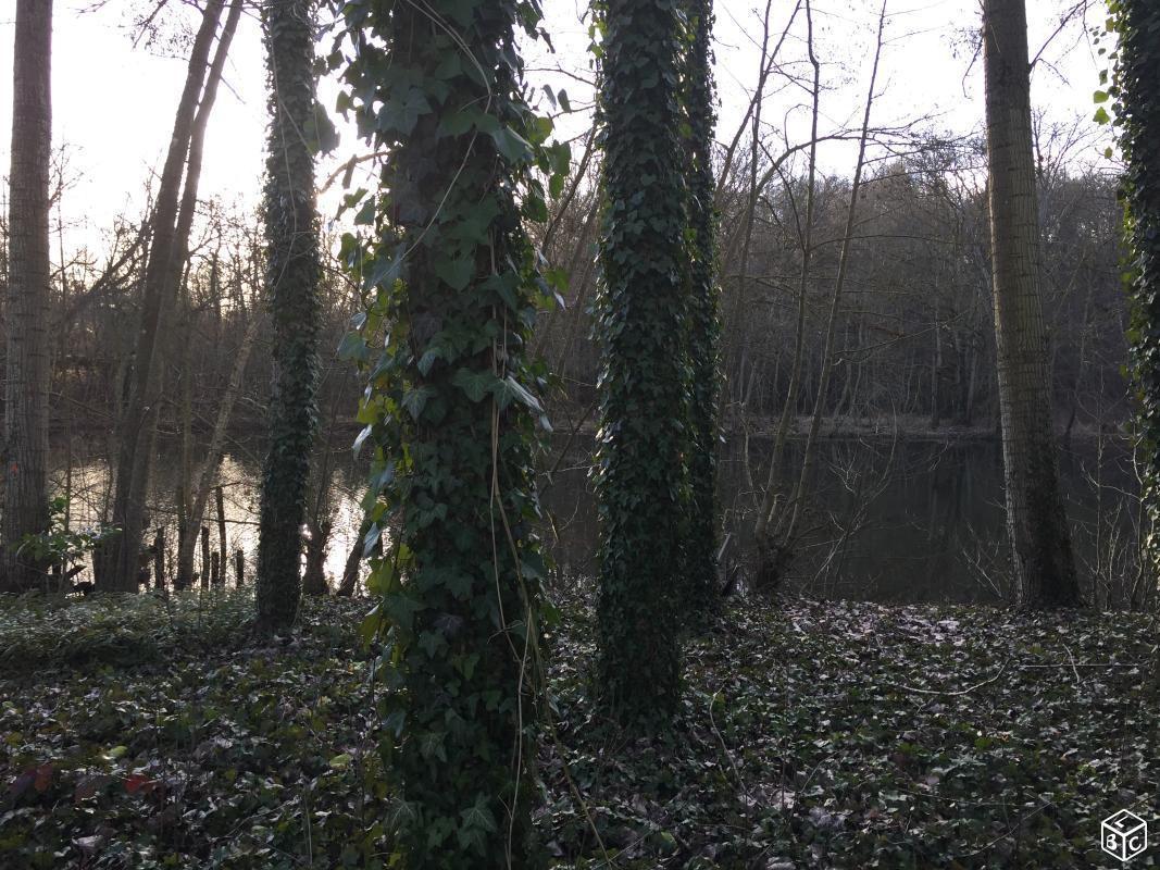 Terrain de loisir bord de loir