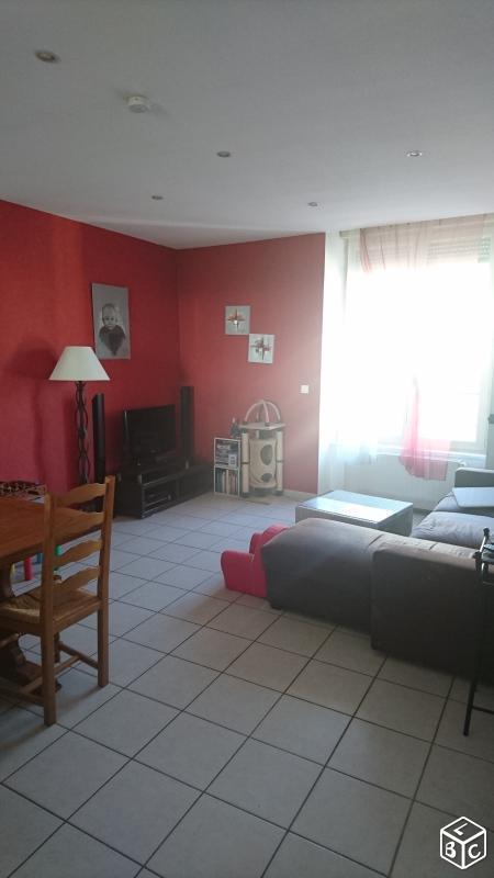 Appartement 78 m2 Centre St Didier