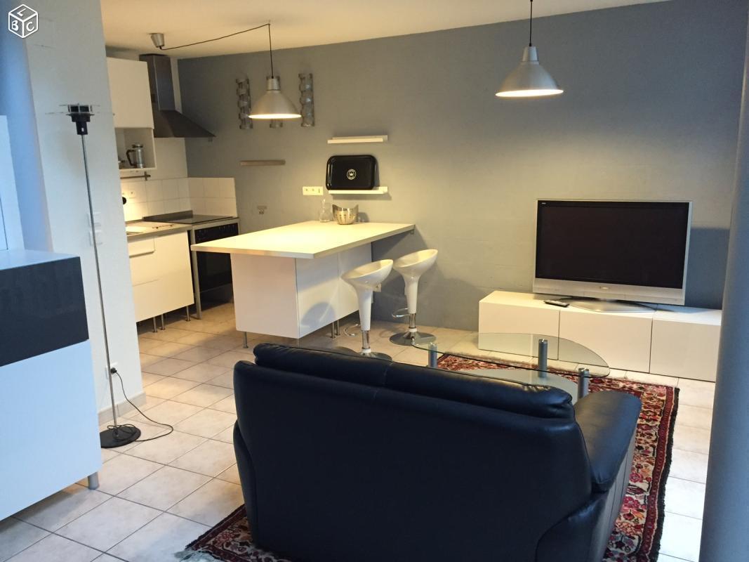 Loft meublé 48m² - pied du tram - parking couvert