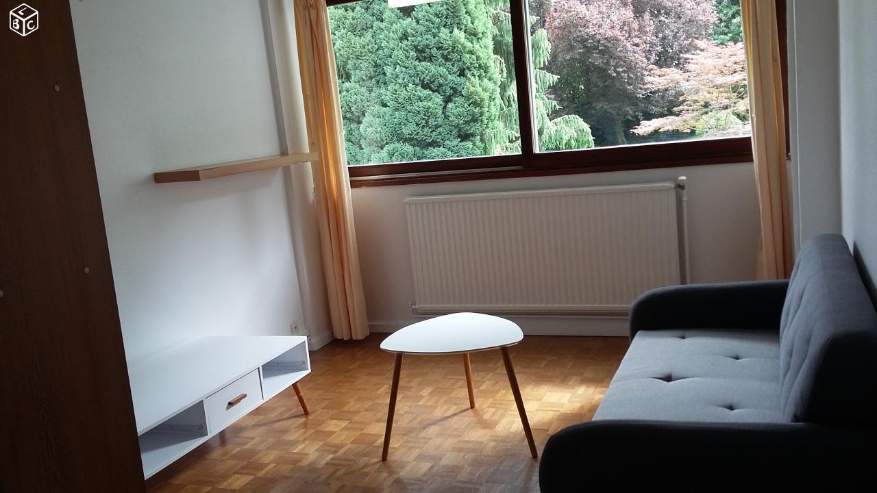 Appartement meublé - T1bis36m2 Lumineux - cours Fa