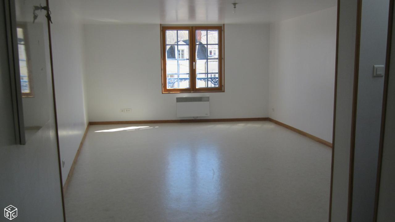 Appartement 3 pieces tres lumineux 70 m2 libre