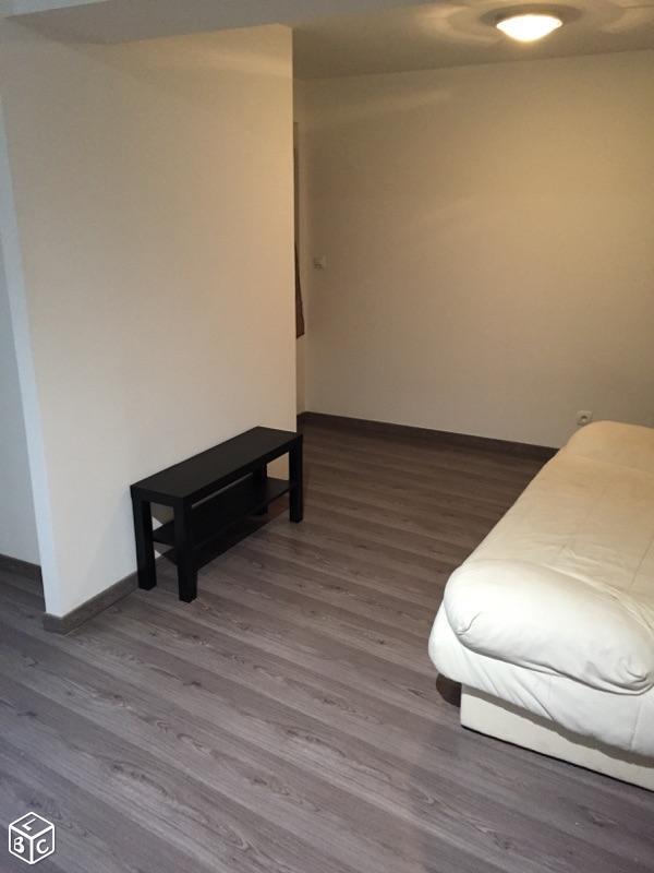 Appartement Meuble F2 rue piétonne de Vendome