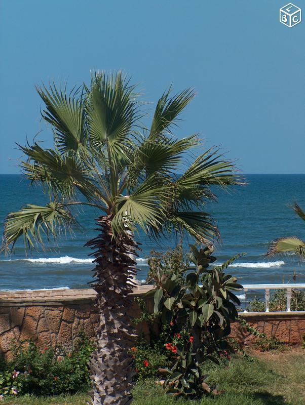 Villa en bord d'océan proche de Casablanca/Maroc