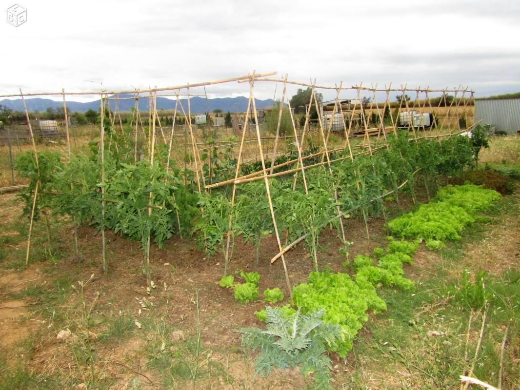 Loue parcelle agricole terrain d'agrément potager