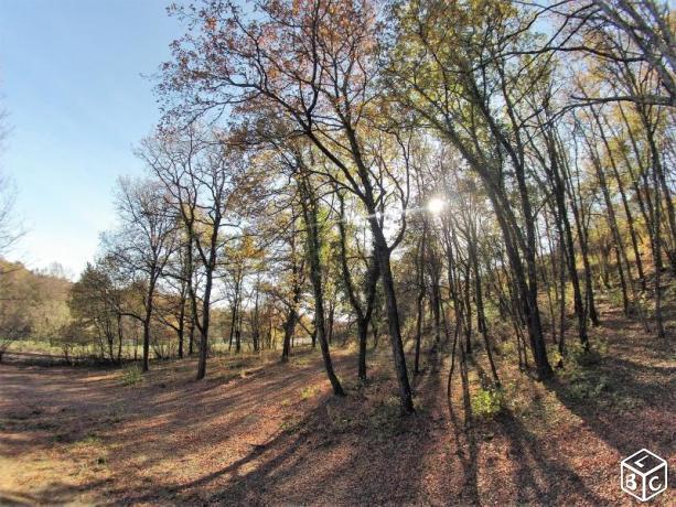 Terrain 2 700 m² Rouffiac Tolosan