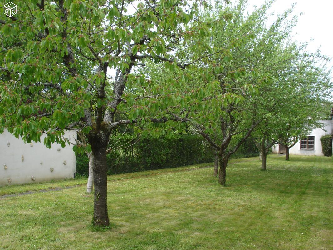 LONGERE EN PIERRES SUR TERRAIN 780 m2