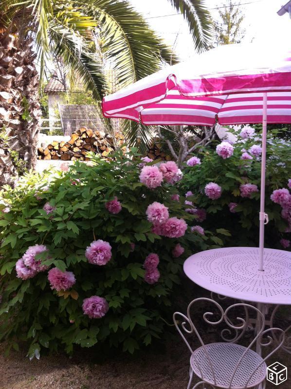 Loue chambre dans maison calme avec jardin centre