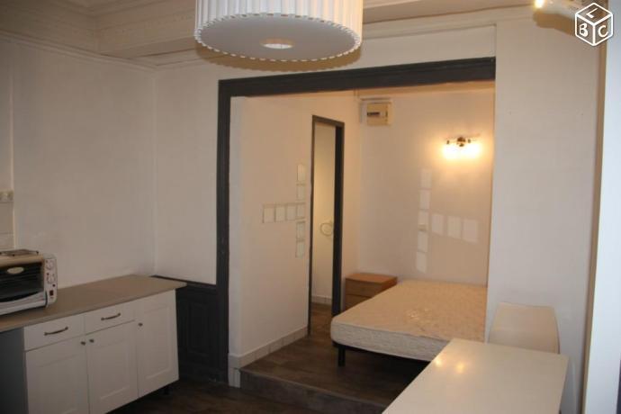 Studio 24m2 meublé Lyon 5