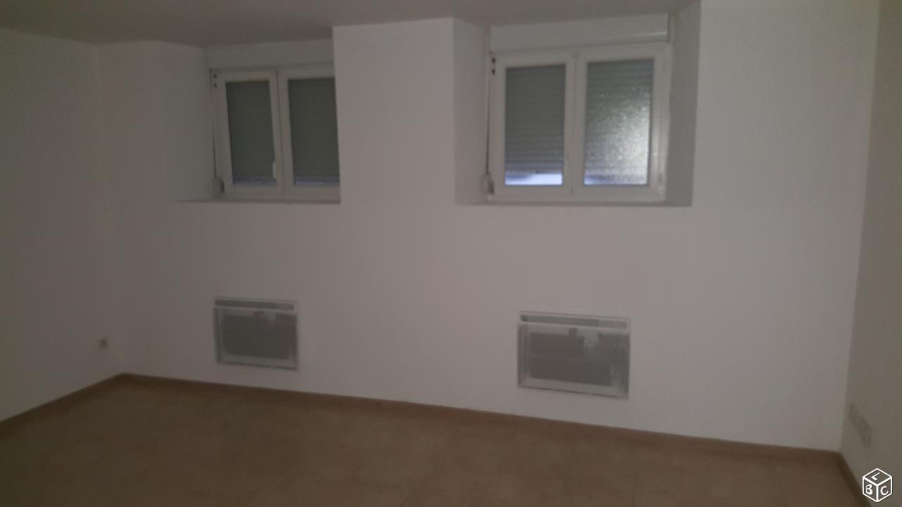 Grand appartement f2 avec terrasse