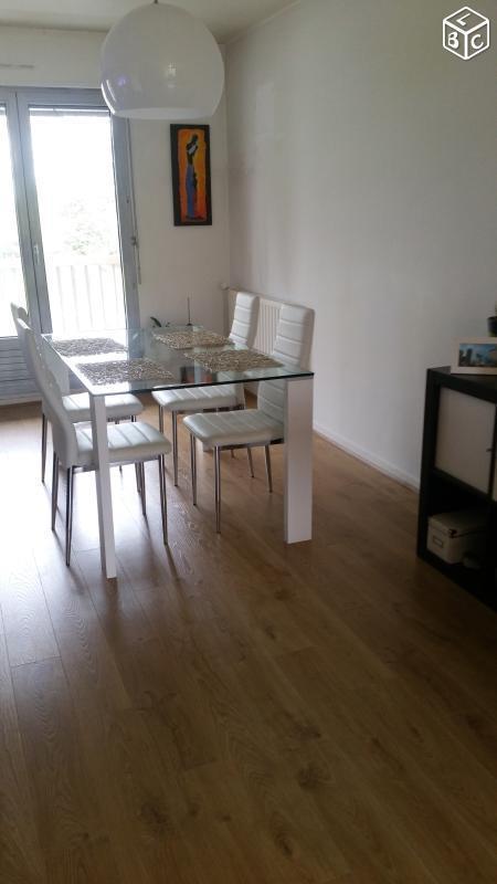 Appartement T4 quartier gare/Château