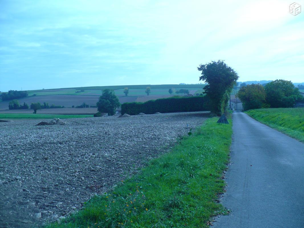 Grand terrain à bâtir de 12 380 m²