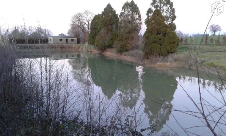 Etang en campagne