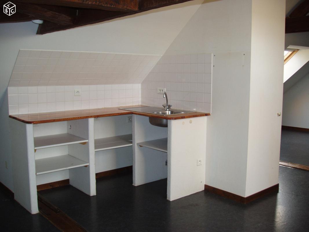 Appartement Studio-Loft 50 m²