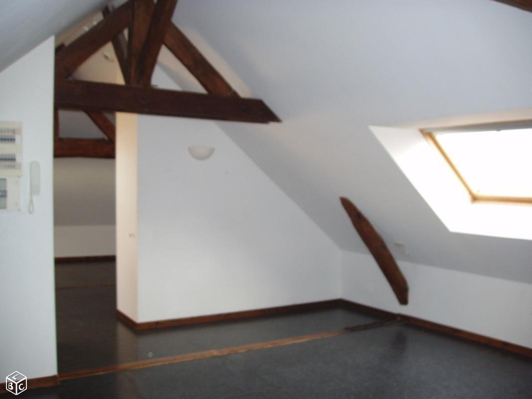 Appartement Studio-Loft 50 m²