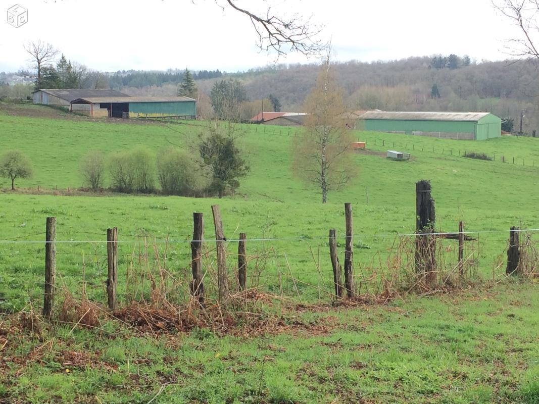 Ferme limousine entre Pompadour et St Yrieix