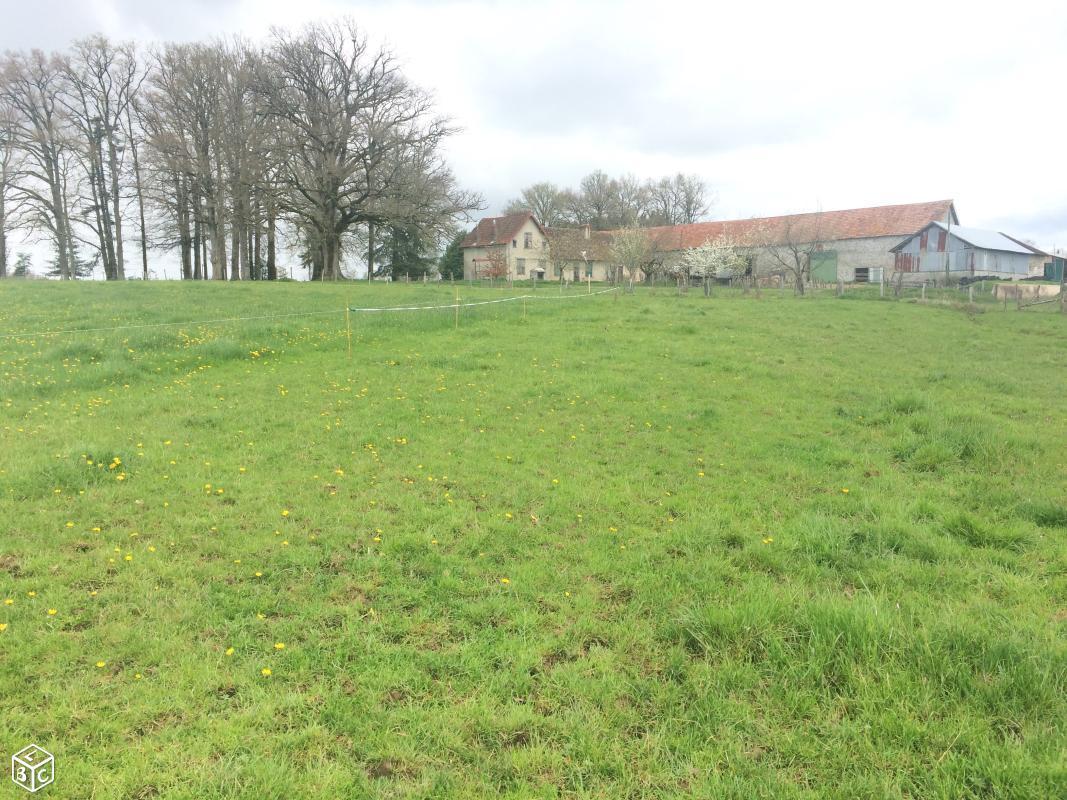 Ferme limousine entre Pompadour et St Yrieix