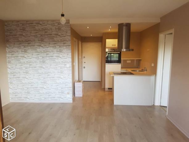 Appartement T2 rénové  disponible Urgent