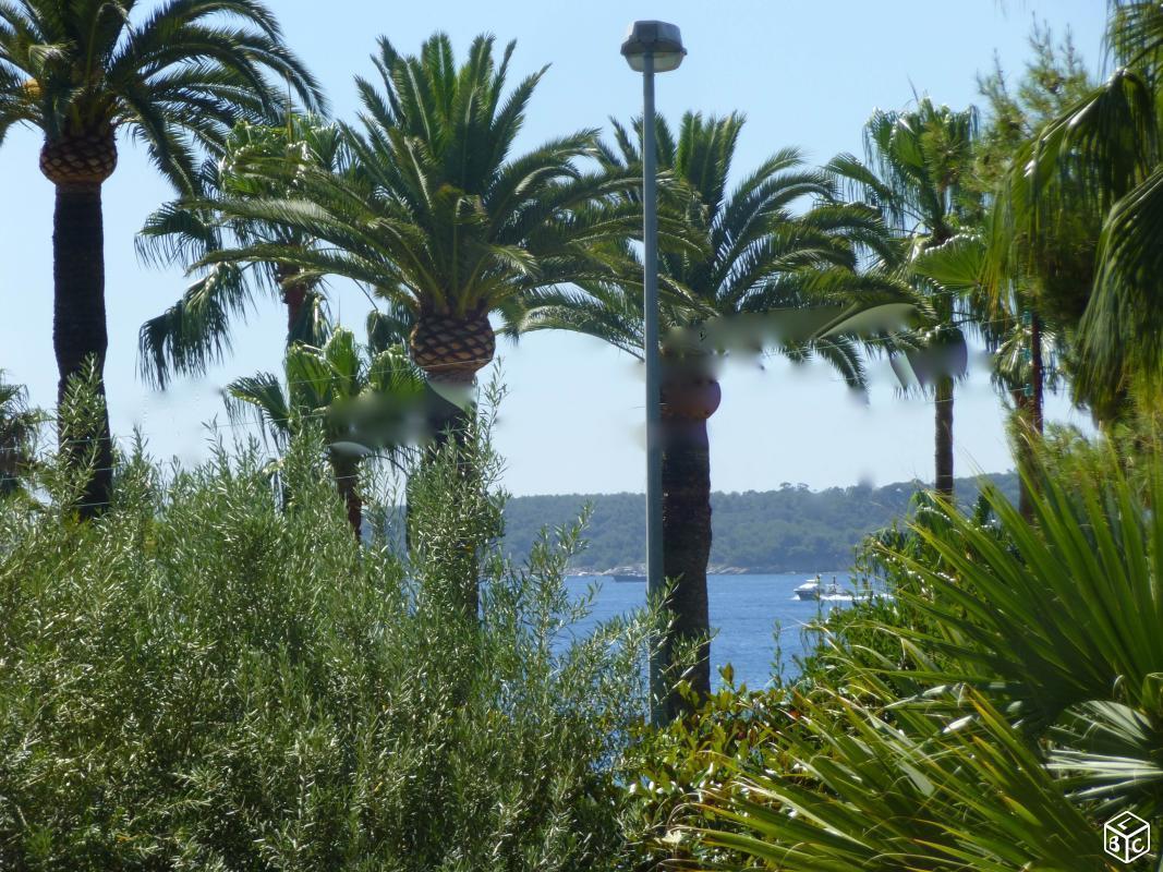 BASSE CALIFORNIE, 91 M2 entre PARC ET MER