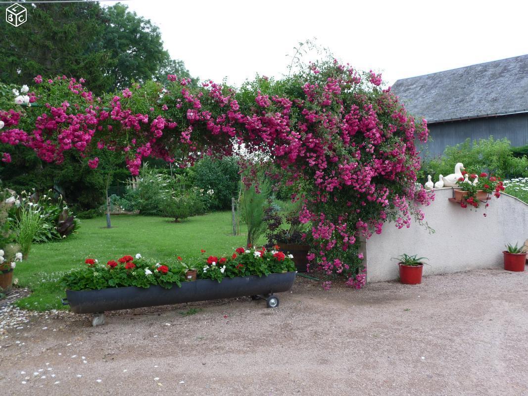 Maison avec terrain