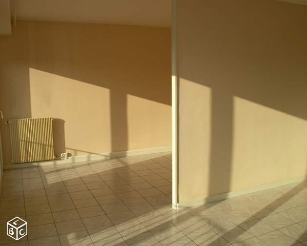 Bel Appartement T3- CHATELLERAULT