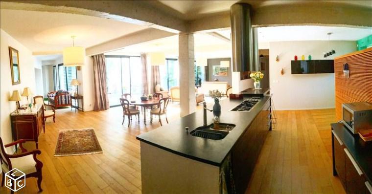 Loft 5 pièces 350 m²