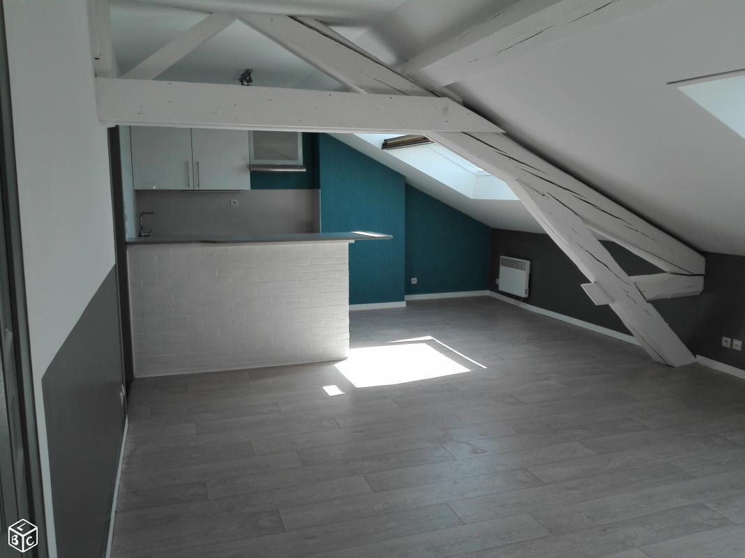 Appartement type F2, style loft