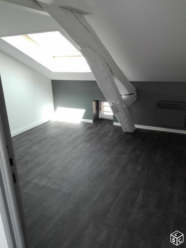 Appartement type F2, style loft