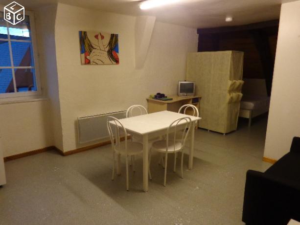 Grand STUDIO meublé agréable et bien situé 28 m2