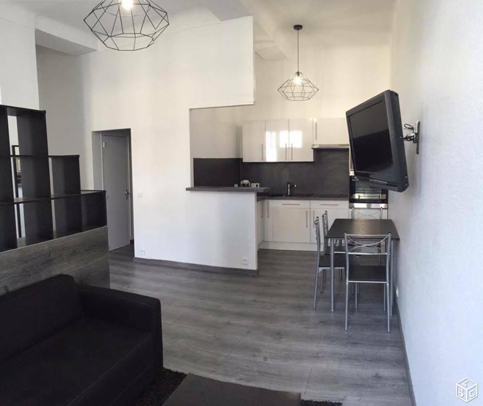 Appartement meublé 34m²  dispo 1er juin