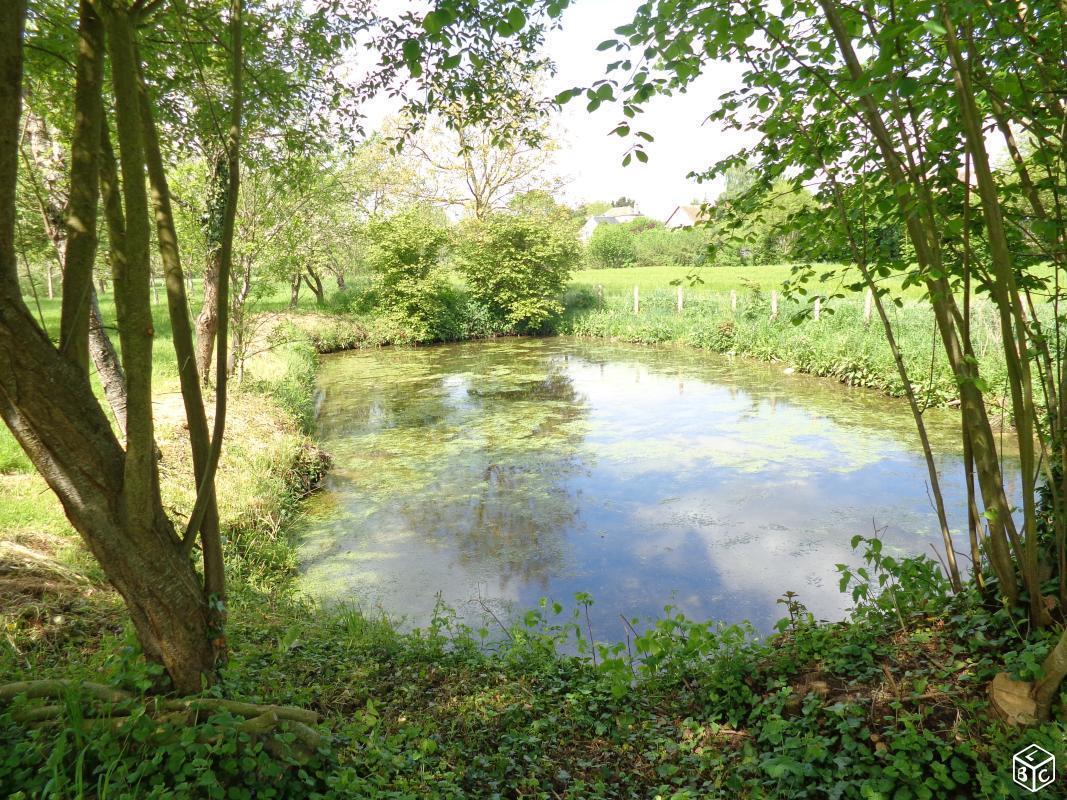 Terrain de loisirs - verger bio - pêche