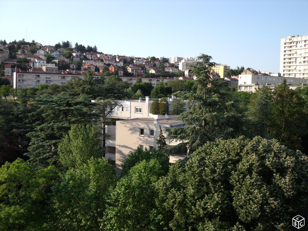 Appartement F3 + Garage St Etienne Cours Fauriel