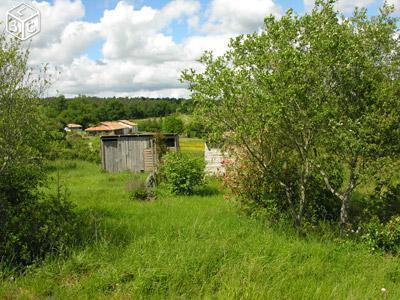 Ancien Chai à finir de rénover + 1Ha de terrain