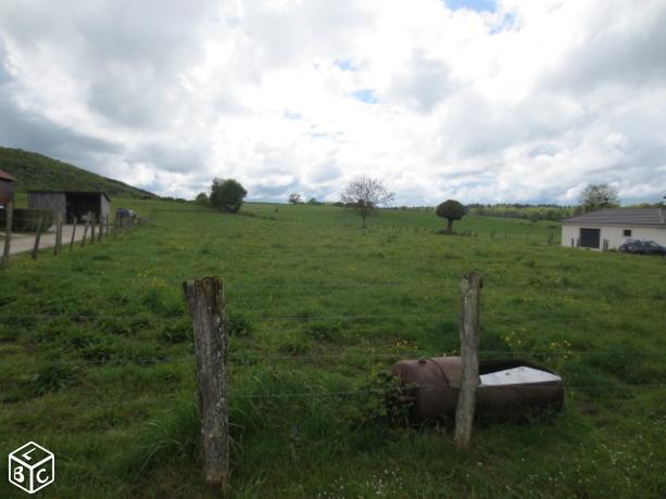 Terrain à bâtir