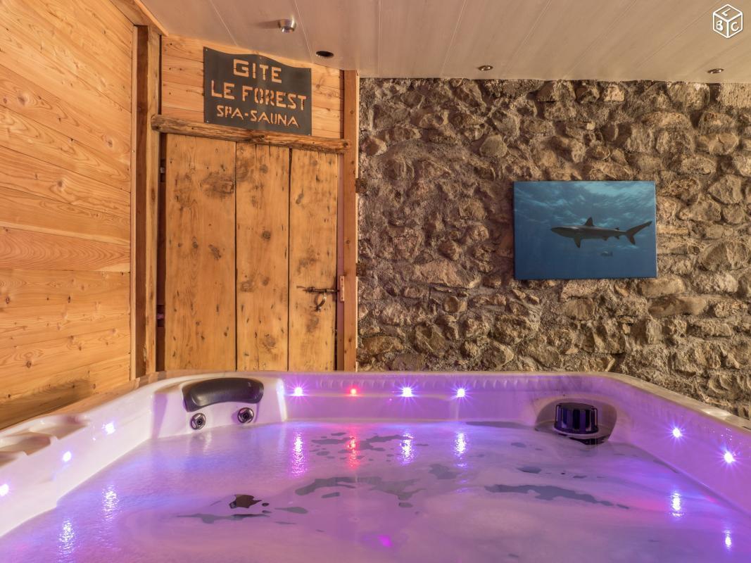 Location grand chalet jacuzzi sauna Station Ski Va