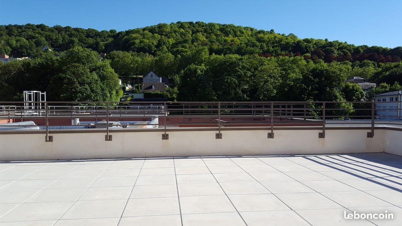 T3 près CHU 69 m² terrasse 51 m² sud 2 balcons